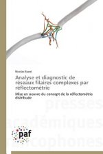 Analyse Et Diagnostic de Reseaux Filaires Complexes Par Reflectometrie
