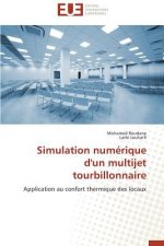 Simulation Num rique d'Un Multijet Tourbillonnaire