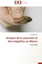Analyse de la Pauvrete Et Des In galites Au Maroc