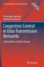 Congestion Control in Data Transmission Networks