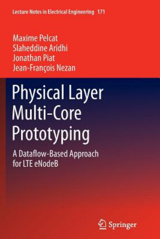 Physical Layer Multi-Core Prototyping
