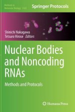 Nuclear Bodies and Noncoding RNAs