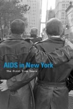 AIDS in New York: The First Five Years