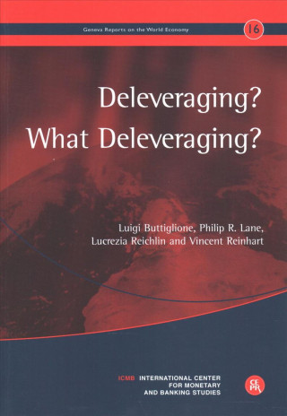Deleveraging? What Deleveraging?