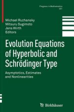 Evolution Equations of Hyperbolic and Schroedinger Type