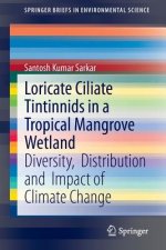 Loricate Ciliate Tintinnids in a Tropical Mangrove Wetland