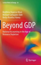 Beyond GDP