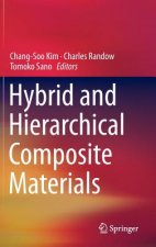 Hybrid and Hierarchical Composite Materials