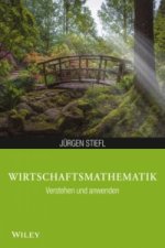 Wirtschaftsmathematik anwenden und verstehen
