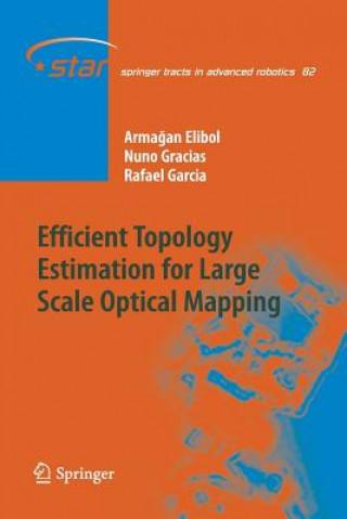 Efficient Topology Estimation for Large Scale Optical Mapping