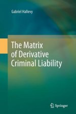Matrix of Derivative Criminal Liability