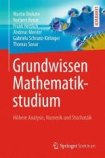 Grundwissen Mathematikstudium