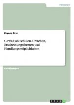 Gewalt an Schulen. Ursachen, Erscheinungsformen und Handlungsmöglichkeiten