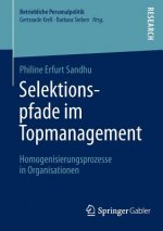 Selektionspfade Im Topmanagement