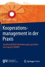 Kooperationsmanagement in Der Praxis