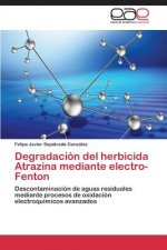 Degradacion del herbicida Atrazina mediante electro-Fenton