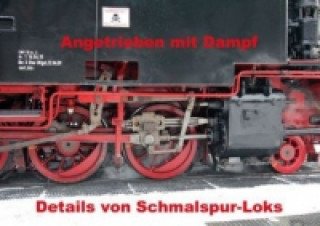 Angetrieben mit Dampf - Details von Schmalspur-Loks (Posterbuch DIN A3 quer)