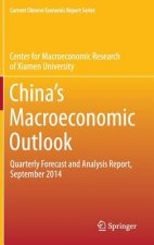 China's Macroeconomic Outlook