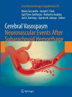 Cerebral Vasospasm: Neurovascular Events After Subarachnoid Hemorrhage