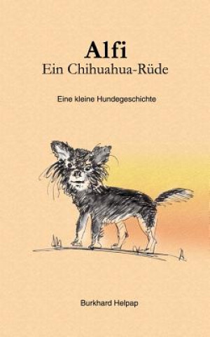 Alfi, ein Chihuahuarude
