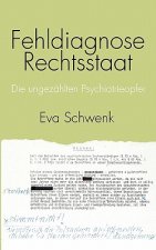 Fehldiagnose Rechtsstaat