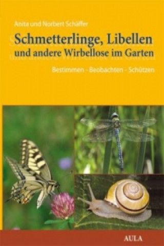 Schmetterlinge, Libellen und andere Wirbellose im Garten