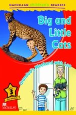 Macmillan Children's Readers Big and Little Cats Level 3