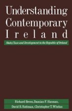 Understanding Contemporary Ireland