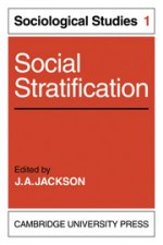 Social Stratification: Volume 1, Sociological Studies