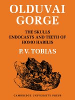 Olduvai Gorge 2 Part Set: Volume 4, The Skulls, Endocasts and Teeth of Homo Habilis