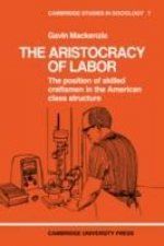 Aristocracy of Labour