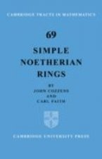 Simple Noetherian Rings