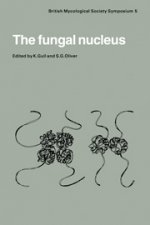 Fungal Nucleus