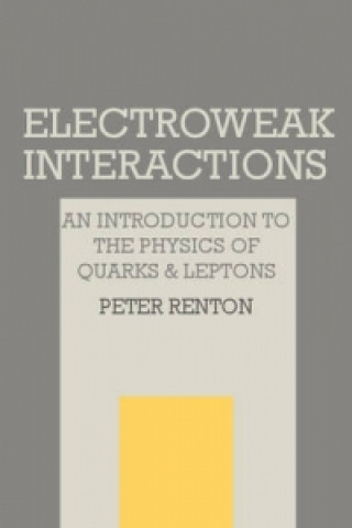 Electroweak Interactions