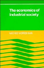 Economics of Industrial Society
