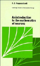 Introduction to the Mathematics of Neurons
