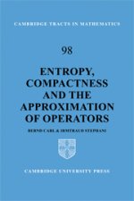 Entropy, Compactness and the Approximation of Operators