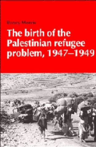 Birth of the Palestinian Refugee Problem, 1947-1949