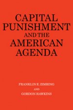 Capital Punishment and the American Agenda