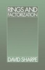 Rings and Factorization