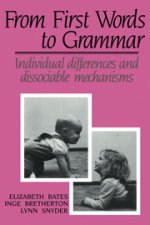 From First Words to Grammar