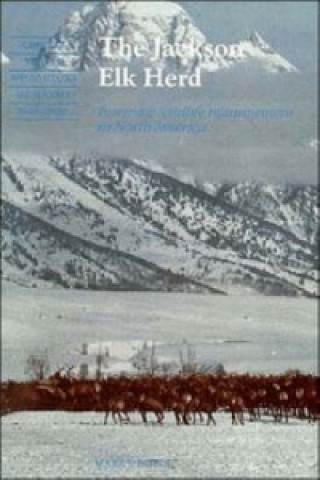 Jackson Elk Herd