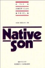 New Essays on Native Son