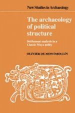 Archaeology of Political Structure