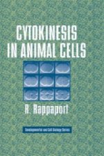 Cytokinesis in Animal Cells