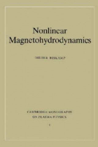 Nonlinear Magnetohydrodynamics