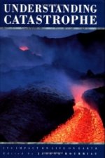 Understanding Catastrophe