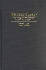 What Is a Case?
