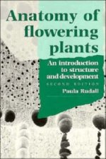 Anatomy of Flowering Plants