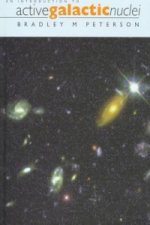 Introduction to Active Galactic Nuclei